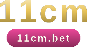 11cm logo
